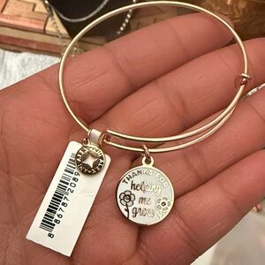Alex And Ani Bracelet nwt